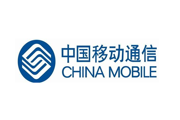 【中国移动上海嘉定项目】弹簧91短视频版高清在线下载案例